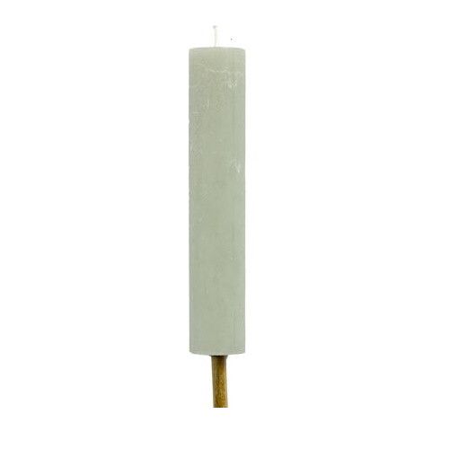 Tuinfakkel Sage (eucalyptus groen)